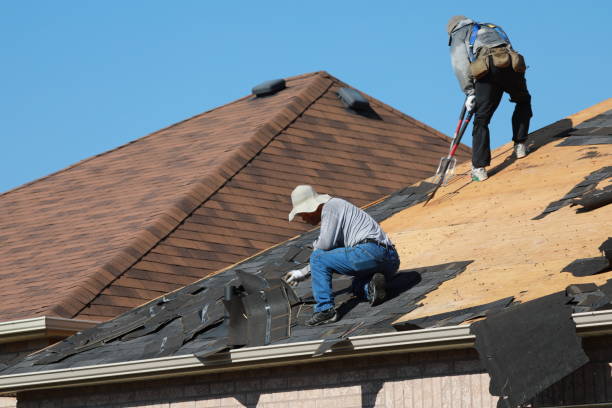 Best Roof Insulation Installation  in Powell, AL