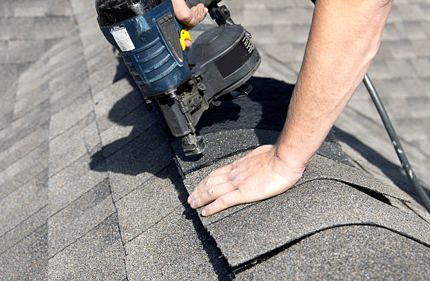 Best Roof Moss and Algae Removal  in Powell, AL